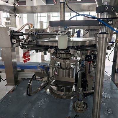 Auxiliary station â vibrating plate settling product inside the pouch