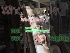 Mesin pengemasan makanan beku kelas makanan stainless steel 304/316 vakum pengawetan penyegelan